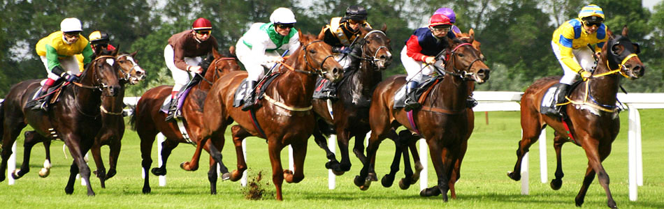 Taxes On Horse Racing